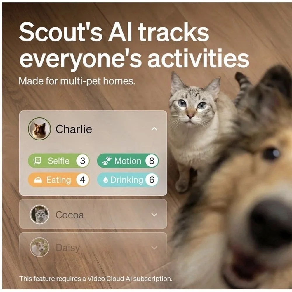 Petlibro Cat & Dog Camera With Multi-pet Recognation Individual Timelines Activi